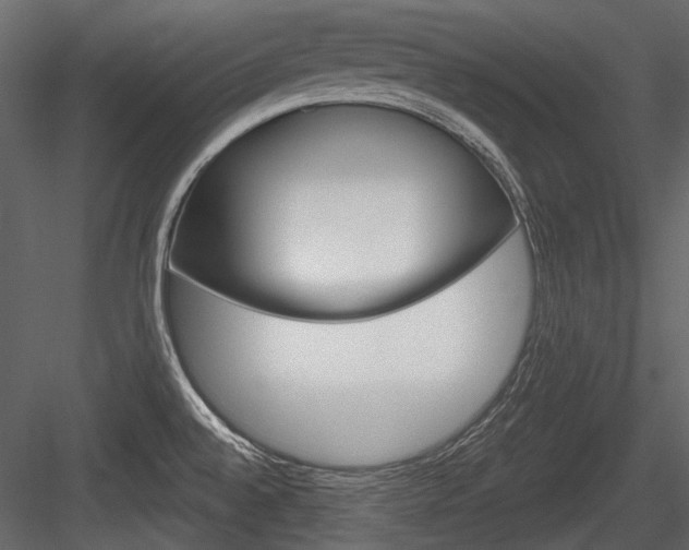 X0000084601528200702231023