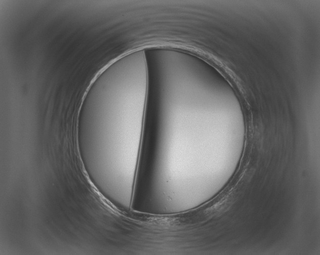 X0000084601529200702231023