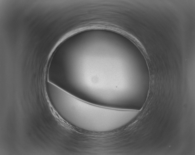 X0000084601530200702231023