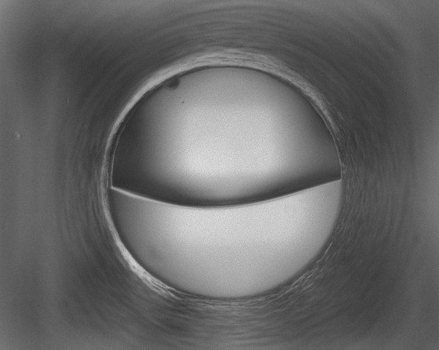 X0000084601531200702231023
