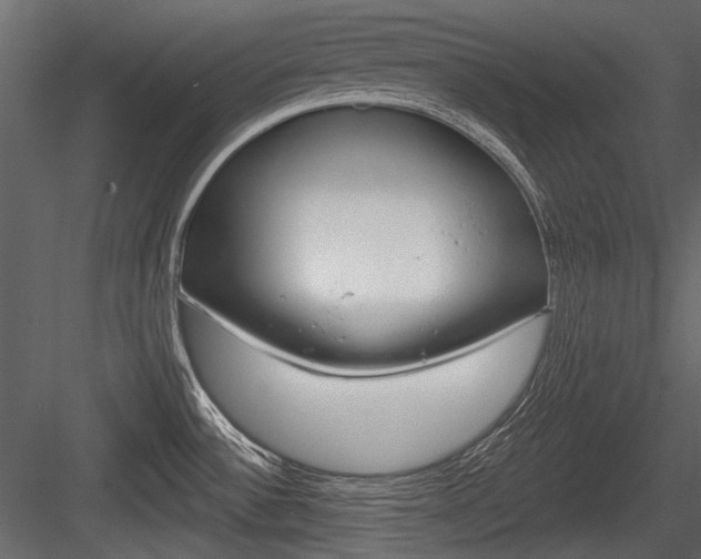 X0000084601532200702231023