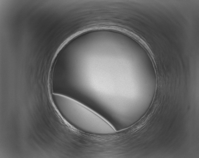 X0000084601533200702231023