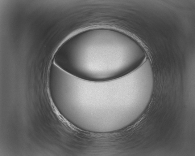 X0000084601534200702231023