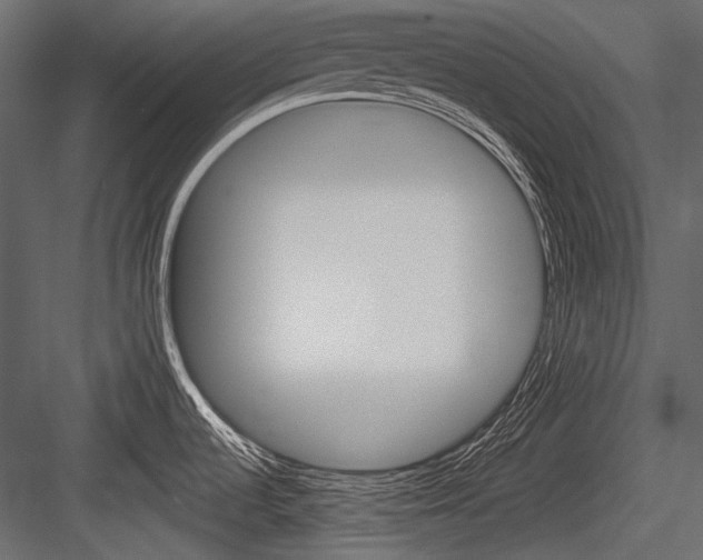 X0000084601536200702231023
