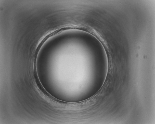 X0000084600011200702231533