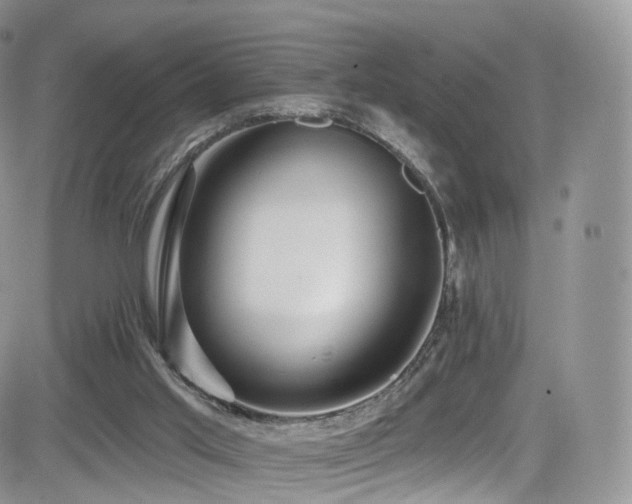 X0000084600013200702231533