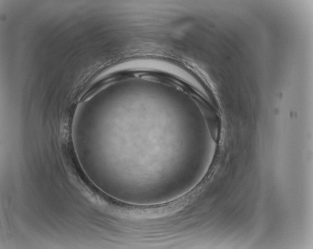 X0000084600017200702231533