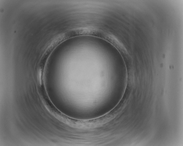 X0000084600022200702231533