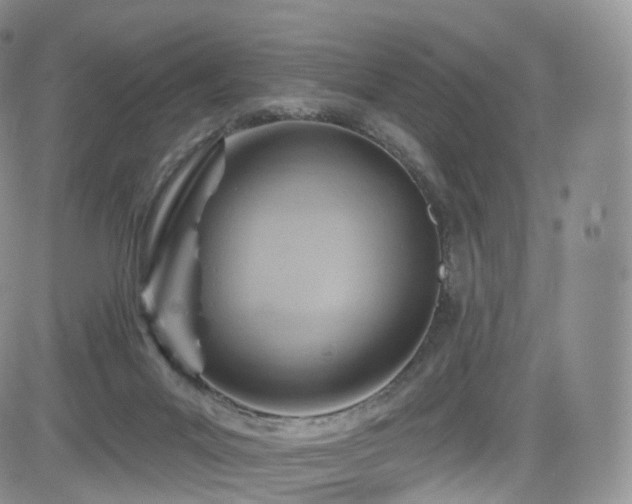 X0000084600023200702231533