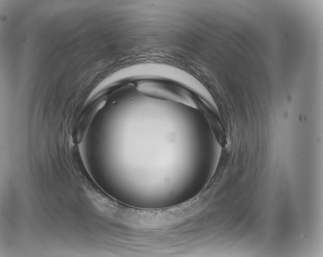 X0000084600037200702231532