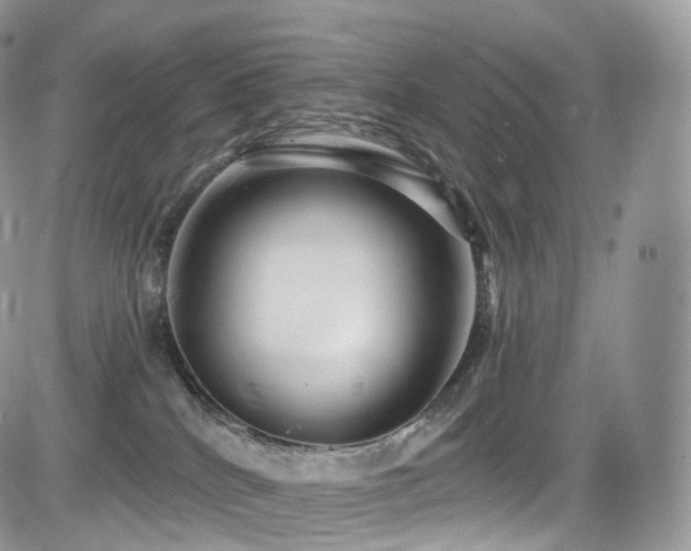 X0000084600040200702231532