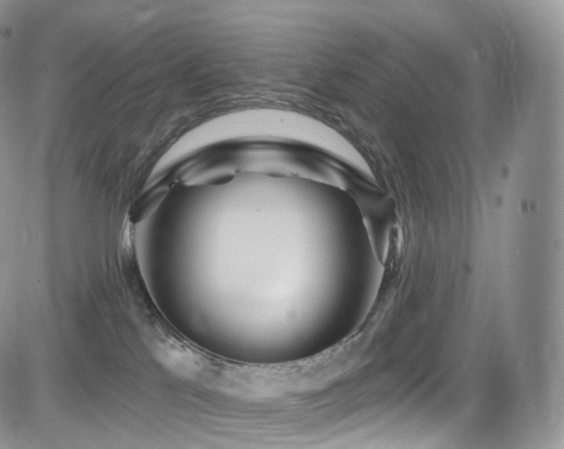 X0000084600041200702231532