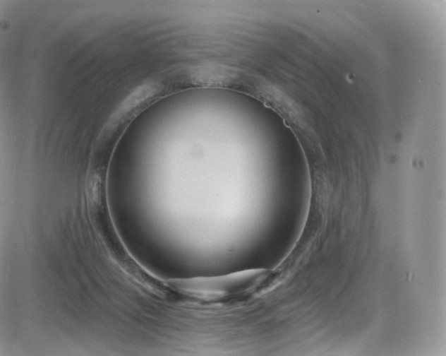 X0000084600071200702231532