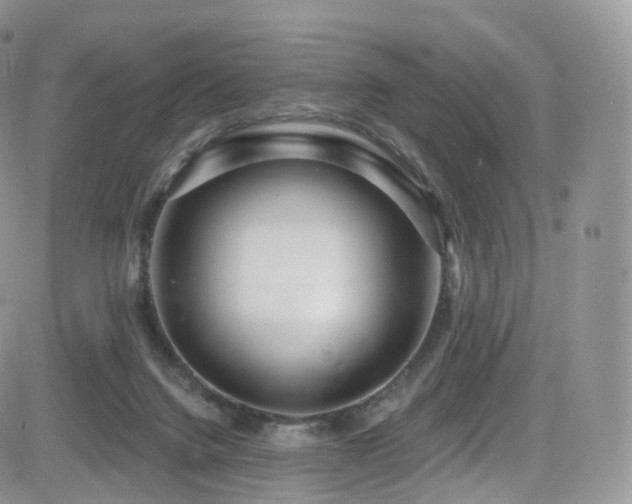 X0000084600072200702231532
