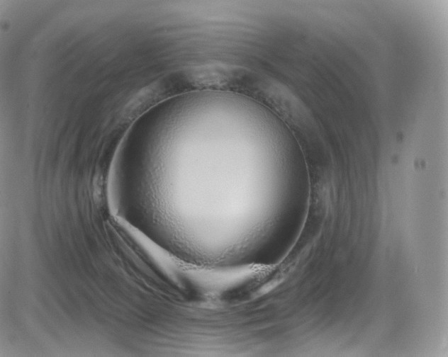 X0000084600081200702231532