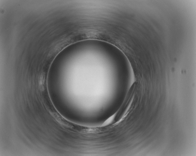 X0000084600082200702231532