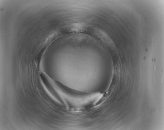 X0000084600127200702231531
