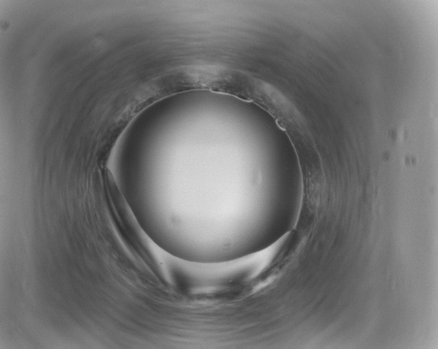 X0000084600221200702231529