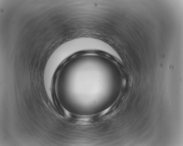 X0000084600280200702231529