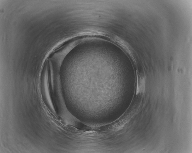 X0000084600387200702231527