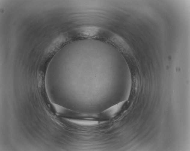 X0000084600412200702231526