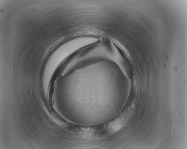X0000084600493200702231525