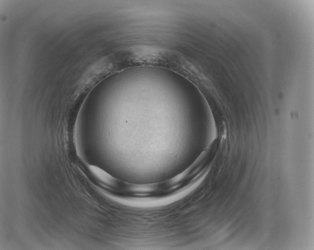 X0000084600508200702231525