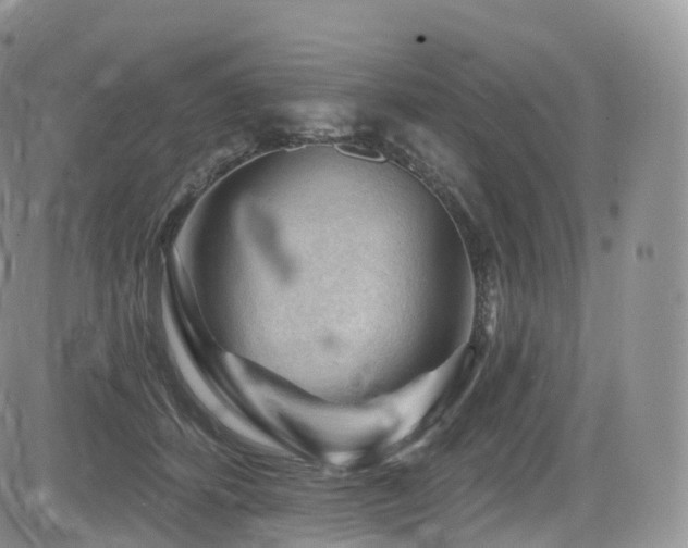 X0000084600512200702231524