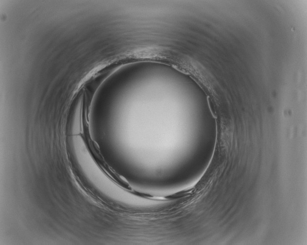 X0000084600530200702231523