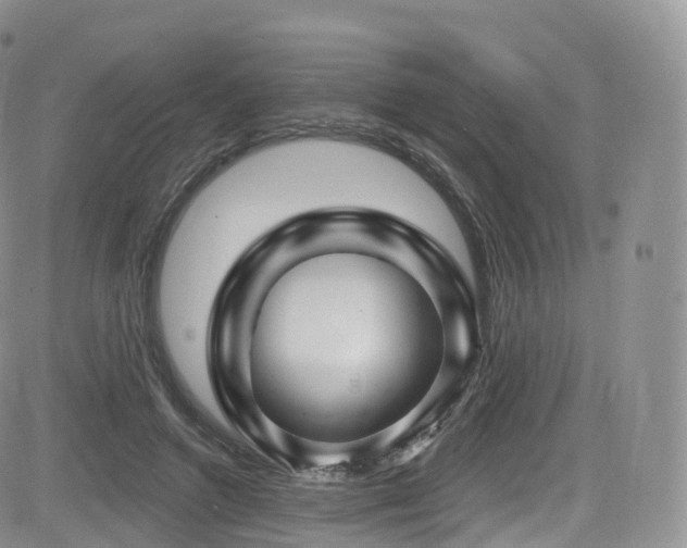 X0000084600546200702231524