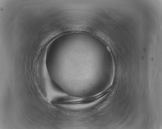 X0000084600673200702231522