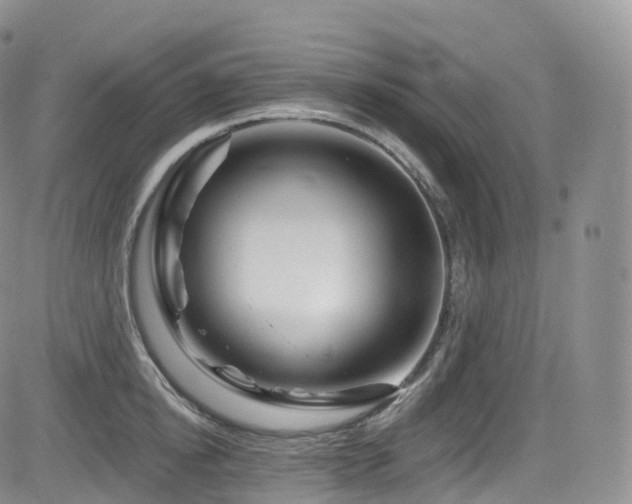 X0000084600854200702231519