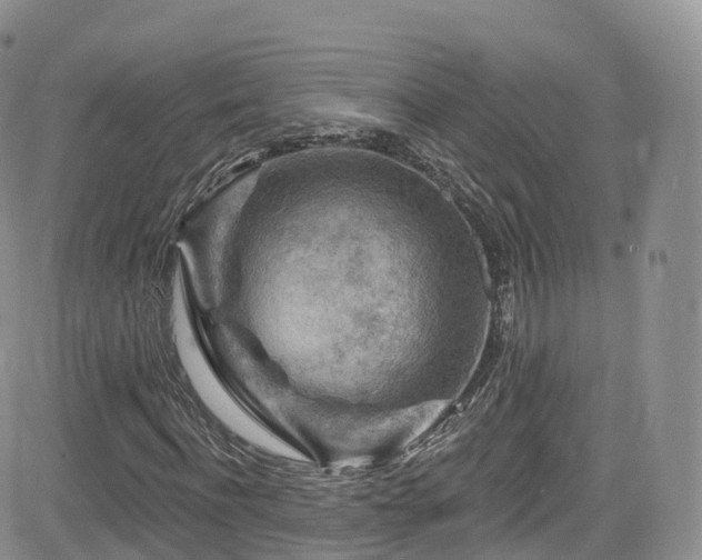 X0000084600916200702231517