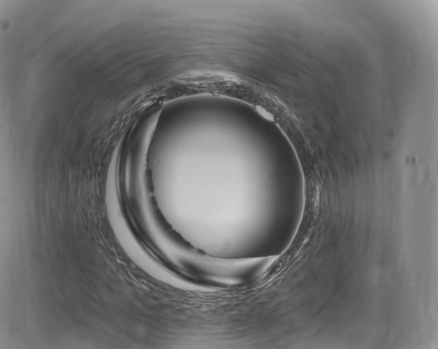 X0000084600965200702231517