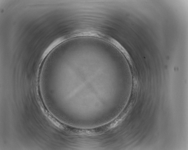 X0000084601002200702231516