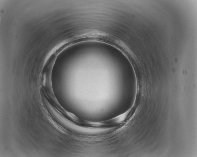 X0000084601026200702231516