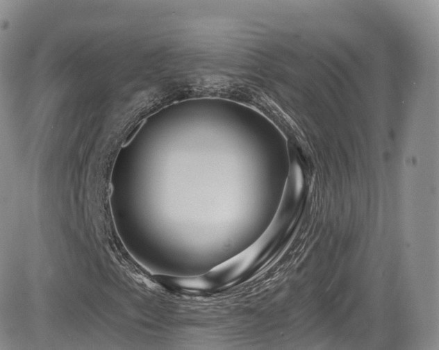 X0000084601153200702231514