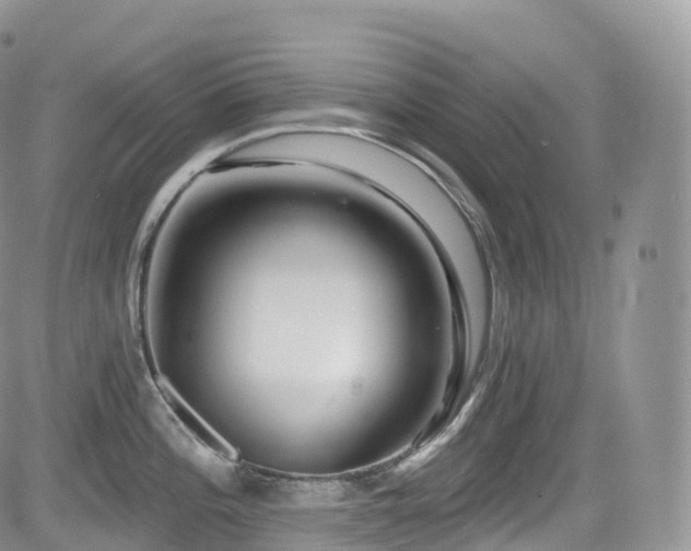 X0000084601196200702231513