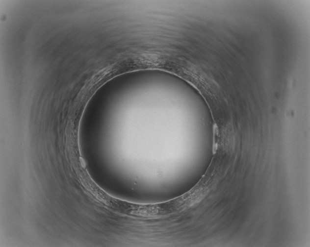 X0000084601201200702231512