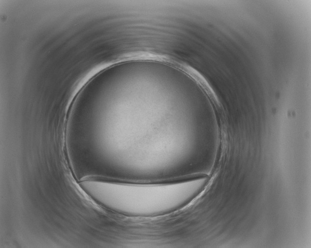 X0000084601244200702231513