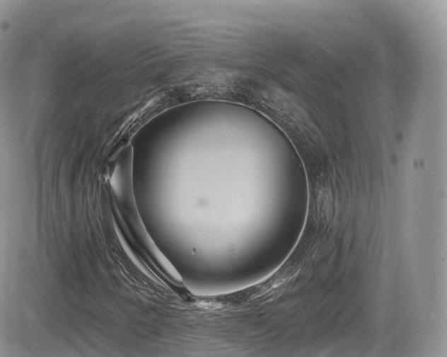 X0000084601250200702231512