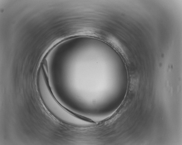 X0000084601284200702231512