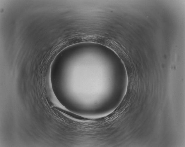 X0000084601345200702231511