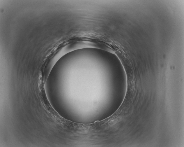 X0000084601349200702231510