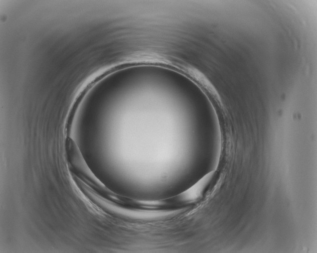 X0000084601380200702231510