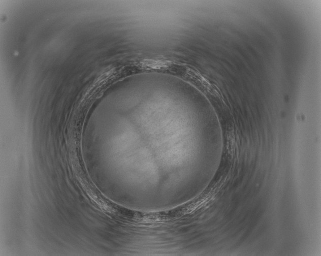 X0000084601393200702231509