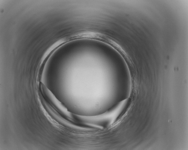 X0000084601426200702231510