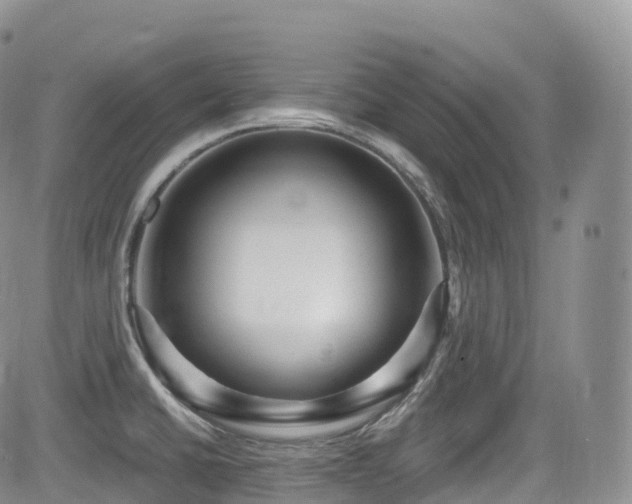 X0000084601430200702231510