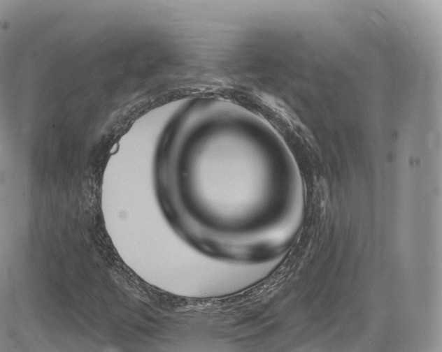 X0000084601447200702231509