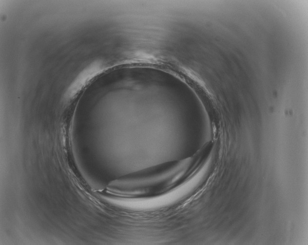 X0000084601455200702231509